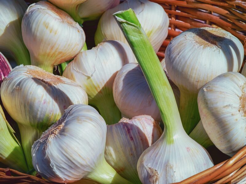 Garlic 3471701 1920