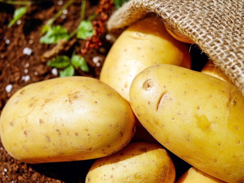 Potatoes 1585060 1920