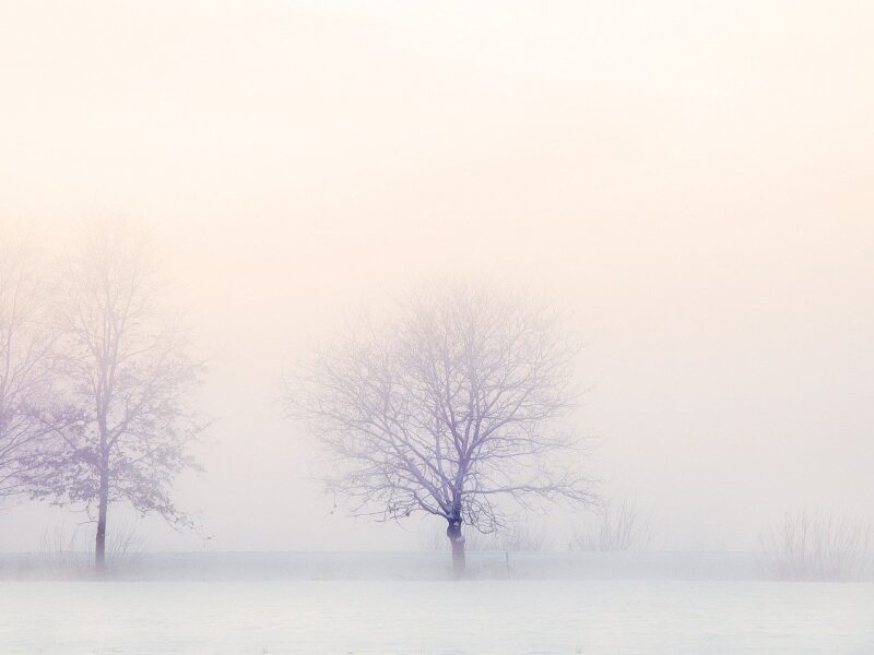 Winter Landscape 2571788 1920 (1)