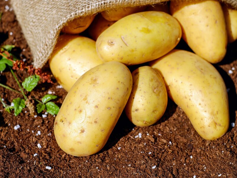 Potatoes 1585075 1920 (1)