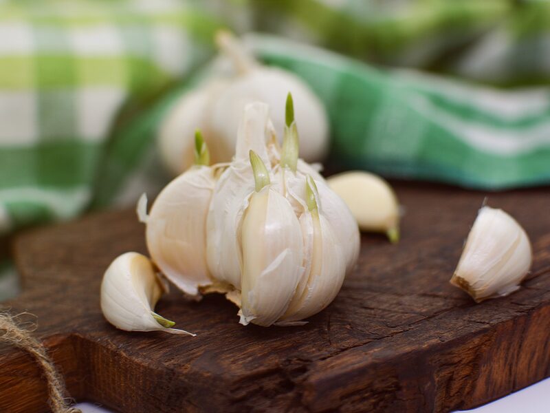 Garlic 3084483 1920