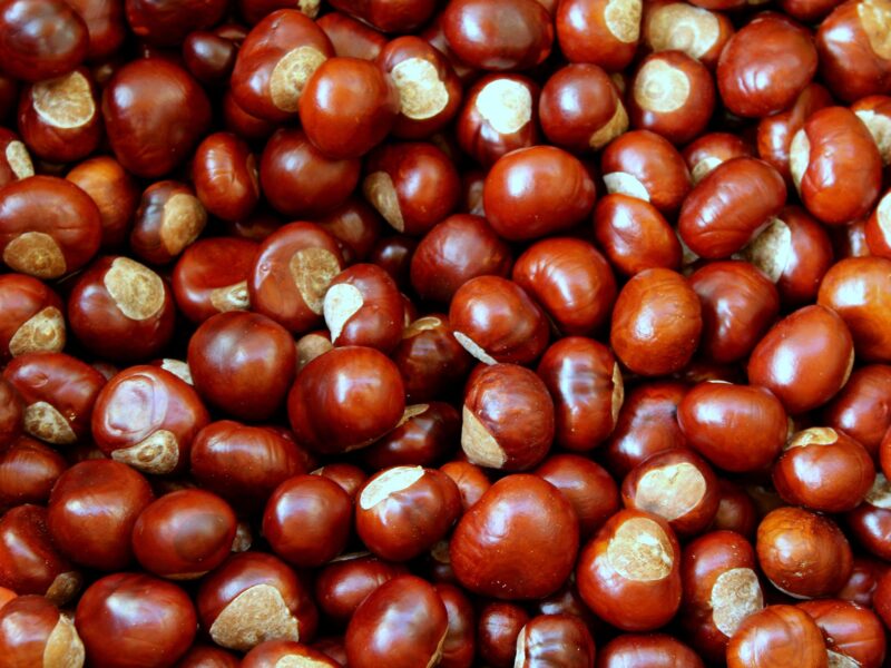 Chestnuts 4500209 1920