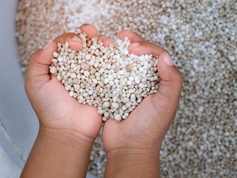 White Chemical Fertilizer Kid Hand Prepare Rice Field