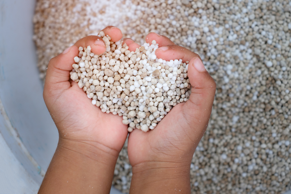 White Chemical Fertilizer Kid Hand Prepare Rice Field