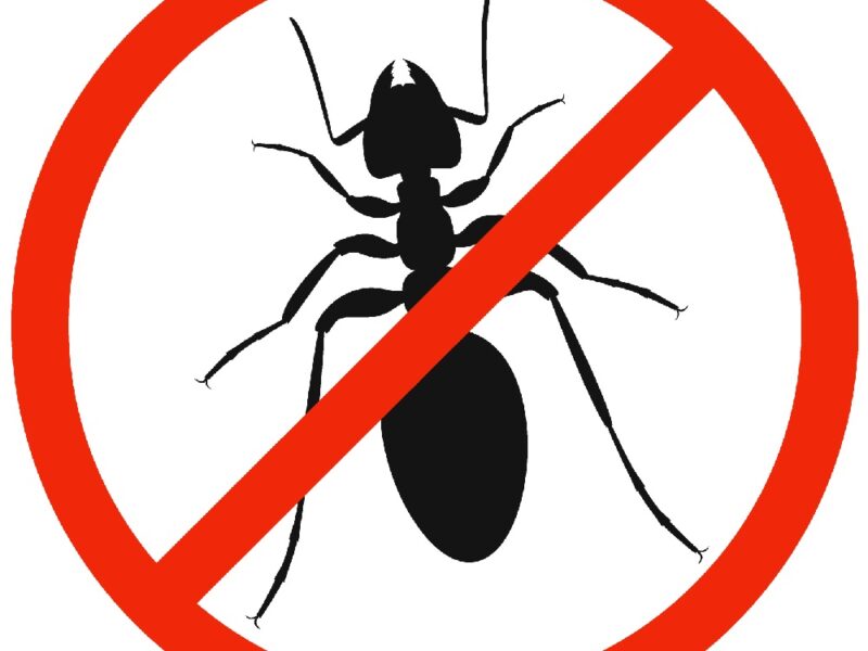 The ants with red ban sign. STOP ants sign