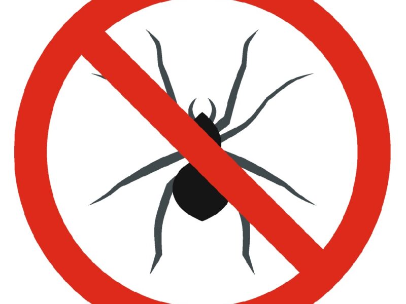 No Insect Sign Icons Set, Flat Style