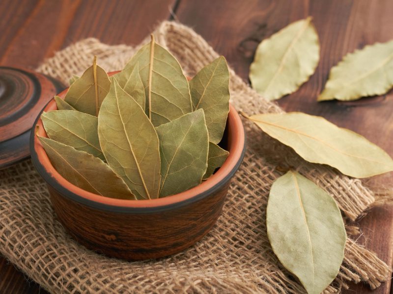 Dray Bay Leaves Small Bowl Brown Wooden Background