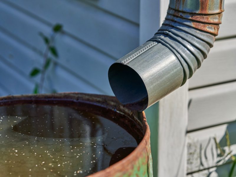 Drain Pipe Is Connected Rusty Iron Barrel With Rainwater