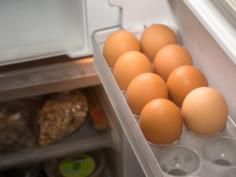 Chicken Eggs Refrigerator Shelf