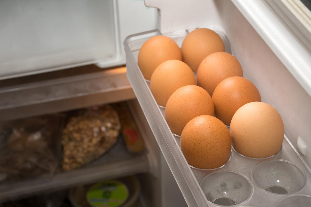 Chicken Eggs Refrigerator Shelf