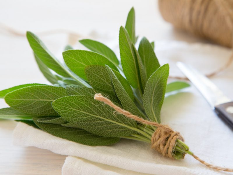 Bunch Fresh Sage Light Wooden Table Selective Focus