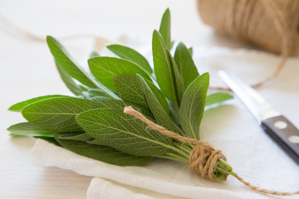 Bunch Fresh Sage Light Wooden Table Selective Focus