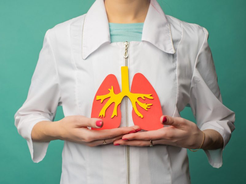 Young Female Doctor Holds Model Person S Lungs Her Hands