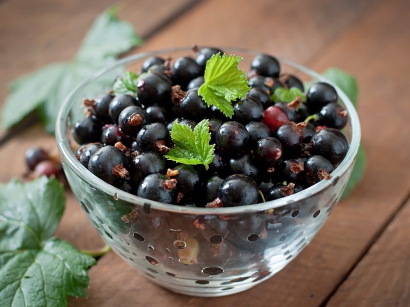 Black Currants Glass Bowl