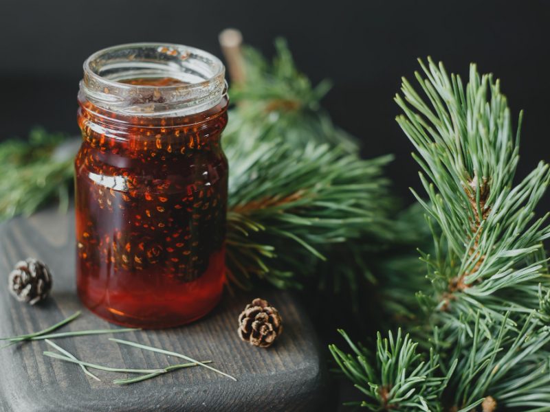 Pine Cone Jam Glass Jar Against Background Pine Branches Cones