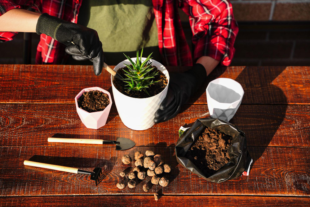 Home Plant Transplant Tools Soil Drainage Shovel Rake Pot Succulent Plant Cactus Home Tree Care Closeup Top View
