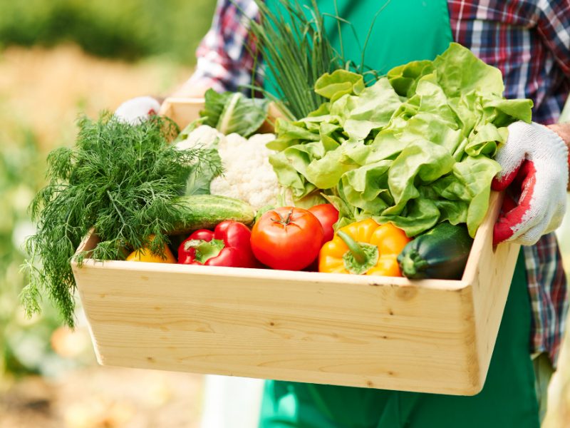 Close Up Box With Vegetables Hands Mature Man