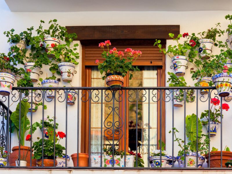 Traditional European Balcony With Flowers Flowerpots