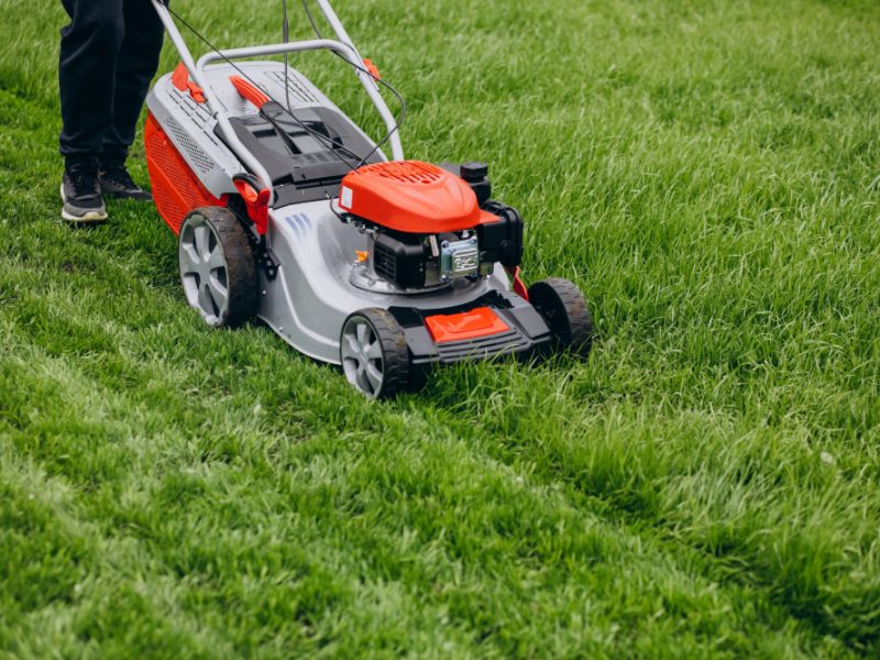 Man Cutting Grass With Lawn Mover Back Yard