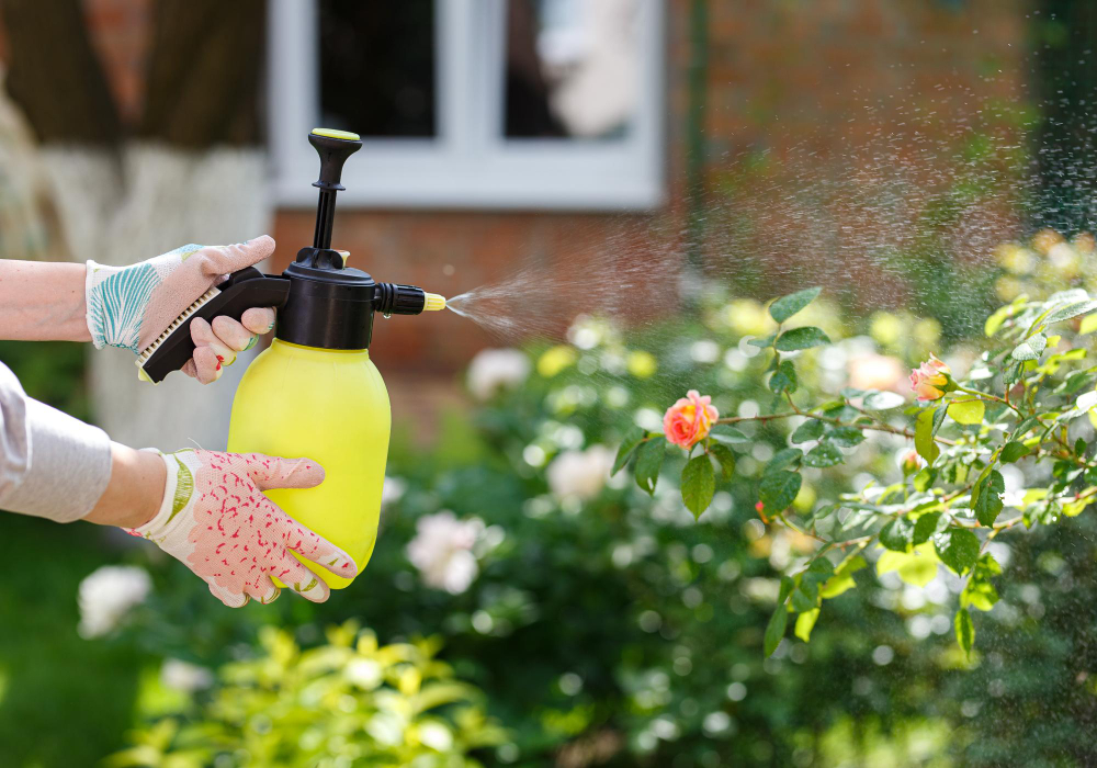 Woman Gardener Spraying Flowers Home Garden