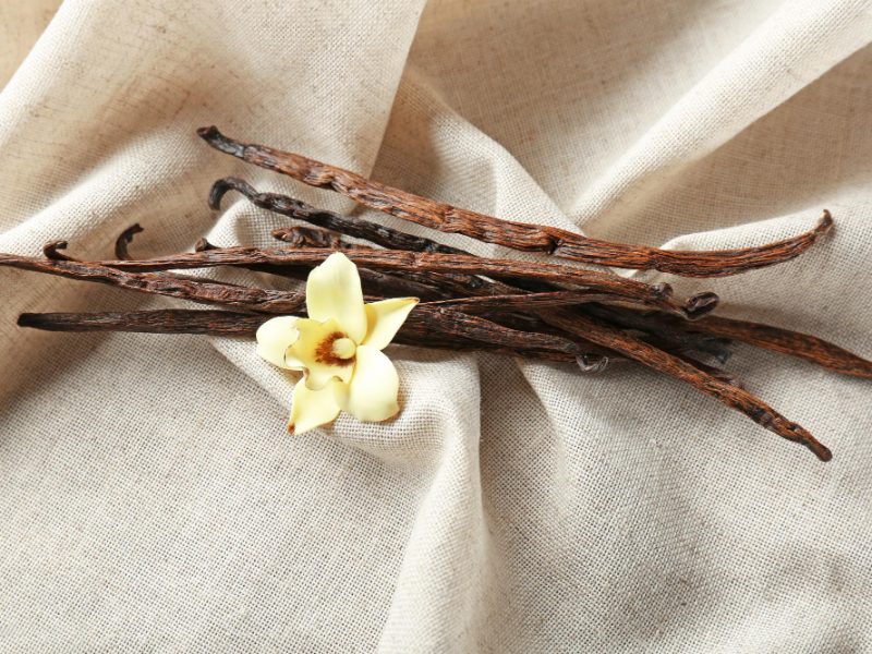 Dried Vanilla Sticks Flower Cloth