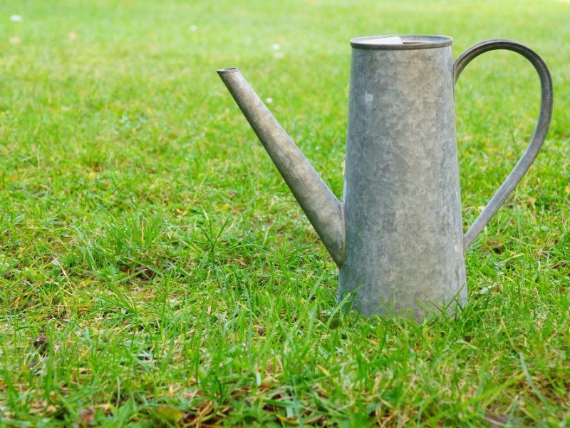 Metal Watering Can Grassy Field During Daytime