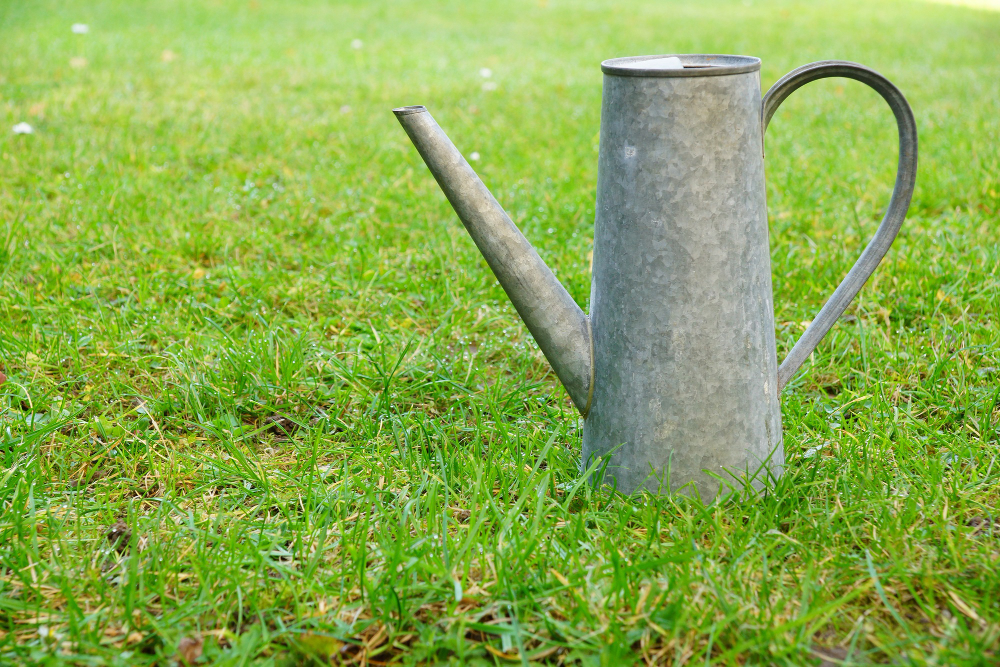 Metal Watering Can Grassy Field During Daytime
