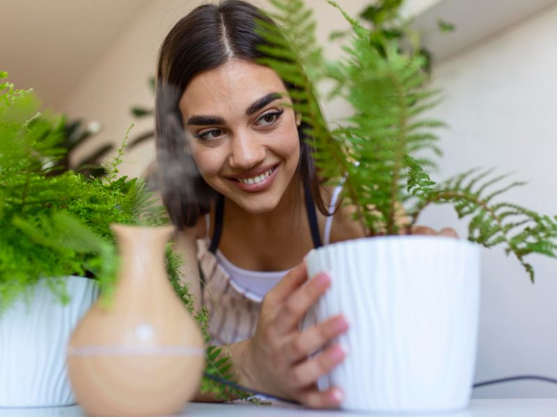 Joyful Young Woman Enjoys Her Time Home Watering Her Plant By Window Home