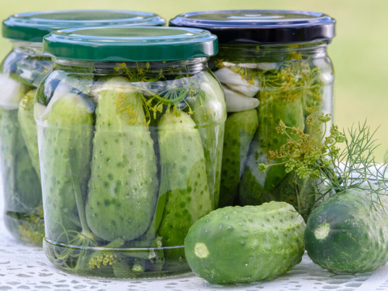 Concept Homemade Preserves Jars Pickled Cucumbers Table Raw Green Ground Cucumbers Dill