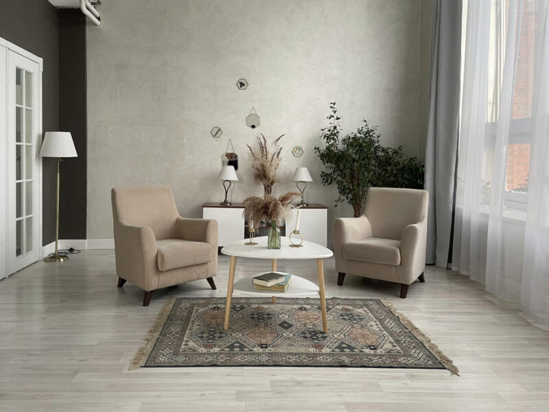 living-room-interior-minimalist-style-concept-cozy-room-arrangement