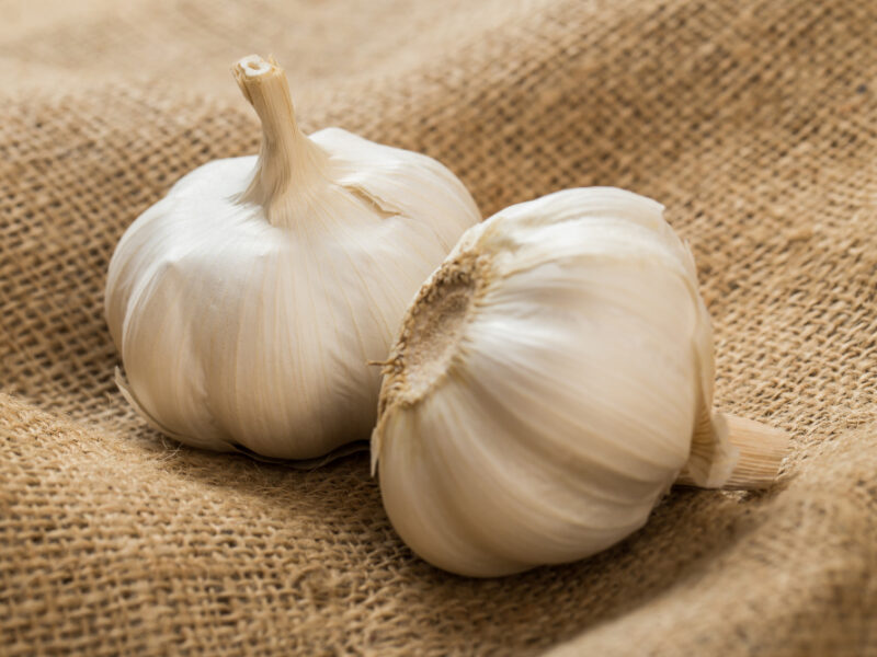Garlic Blanket