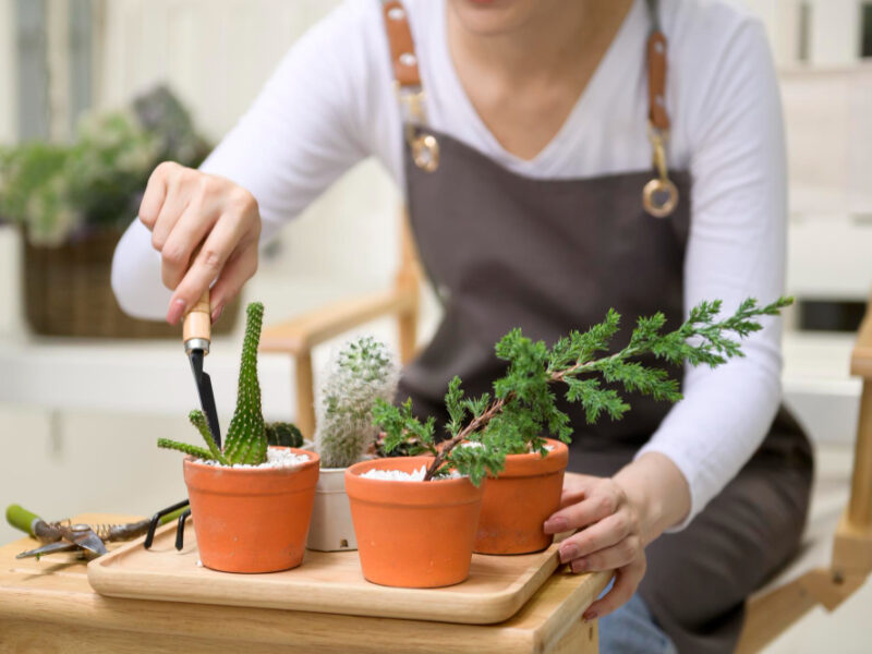 Young Asian Woman Enjoys Gardening Home Health Care Wellbeing Concept