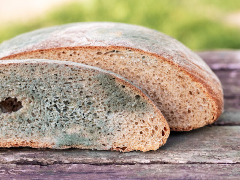 Slice Bread Covered With Mold Wooden Surface