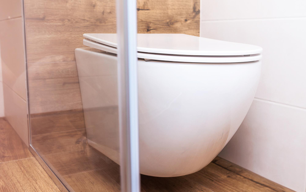 White Toilet Closeup Modern Bathroom Sanitary Equipment Modern Home