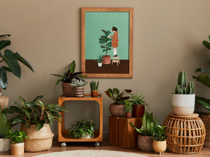 Stylish Botany Composition Home Garden Interior With Wooden Mock Up Poster Frame Filled Lot Beautiful House Plants Cacti Succulents Different Design Pots Floral Accessories