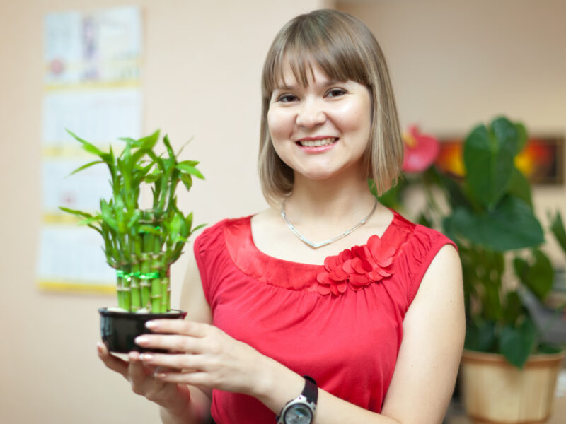 Girl With Lucky Bamboo Plant