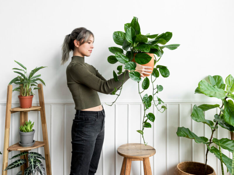 Happy Woman Carrying Houseplant