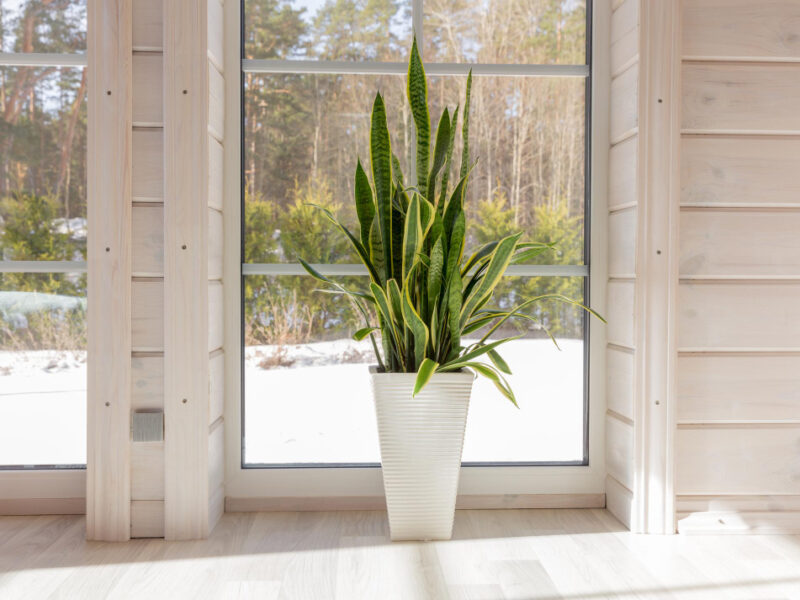 Bright Photo Studio Interior With Big Window High Ceiling White Wooden Floor