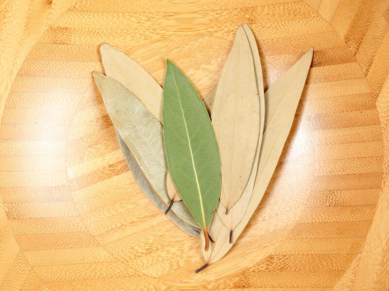 Bay Leaf Herb Spice