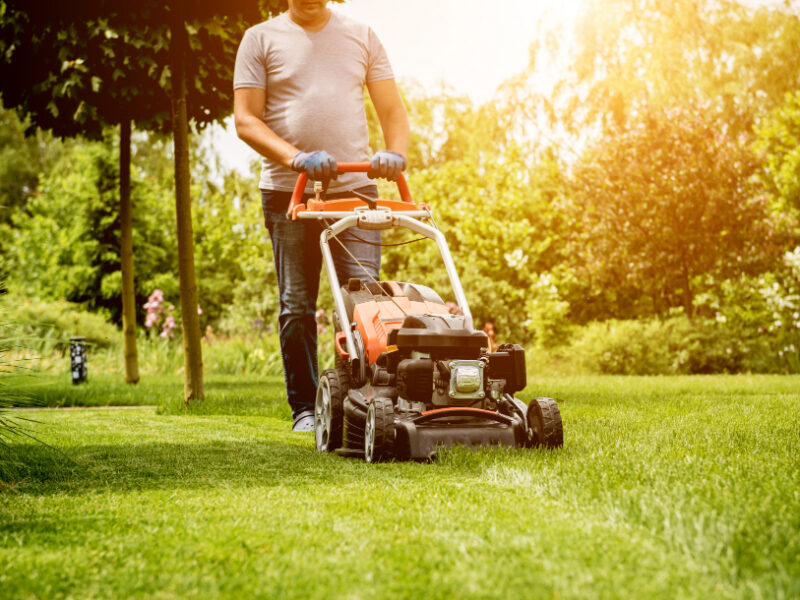 Gardener Mowing Lawn Landscape Design