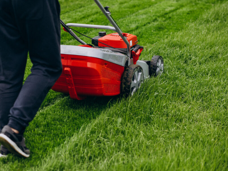 Man Cutting Grass With Lawn Mover Back Yard