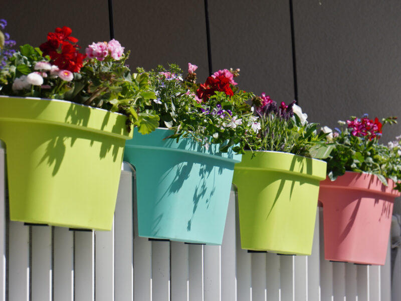 Flowers With Colorful Pots White Fence