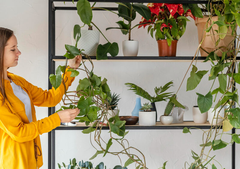 Young Woman Gardening Home