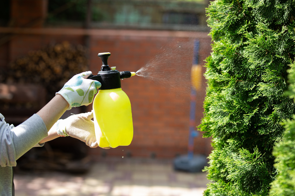 Woman Gardener Spraying Plants Home Garden