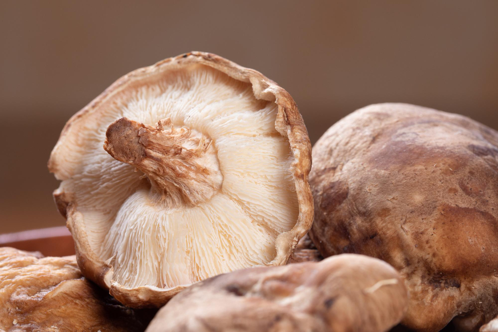 shiitake-mushrooms-concept-vitamin-d-immunosuppression