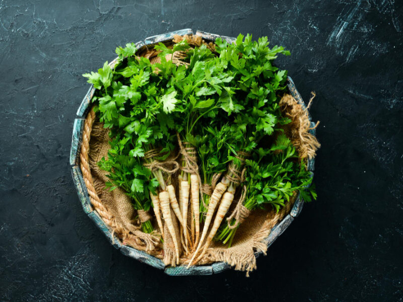 Root Parsley Parsley Black Background Top View Free Space Your Text