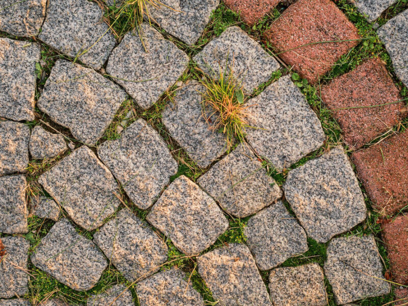 Background Gray Small Paving Stones With Sprouted Grass Stones Top View Path Refreshed By Sun Idea Background Wallpaper