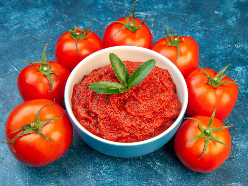 Front View Fresh Tomatoes With Tomato Paste Blue Salad Red Tree Vegetable Color Food Ripe
