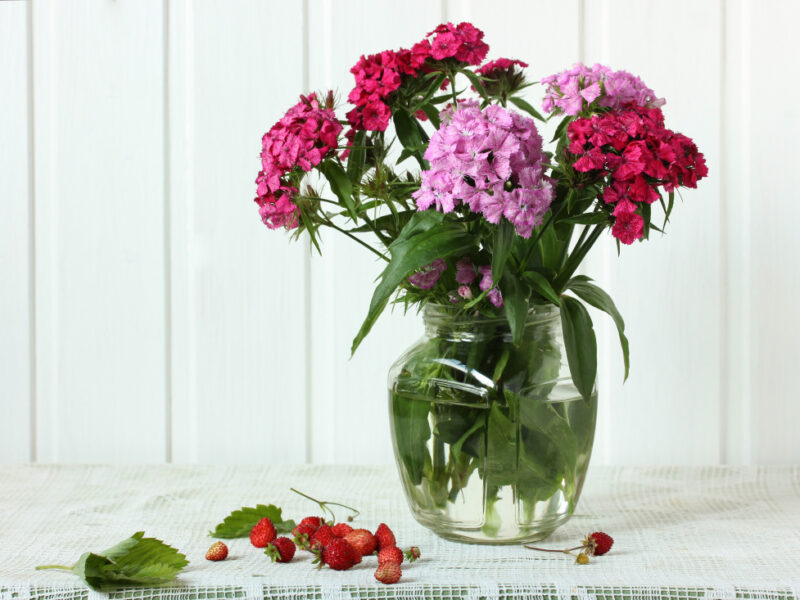 Bouquet Turkish Carnation Strawberries