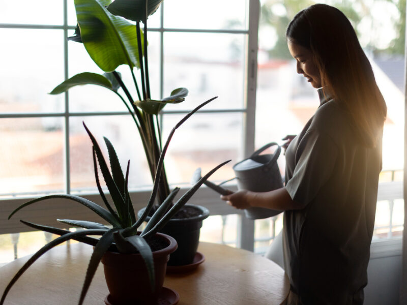 Woman Taking Care Plants